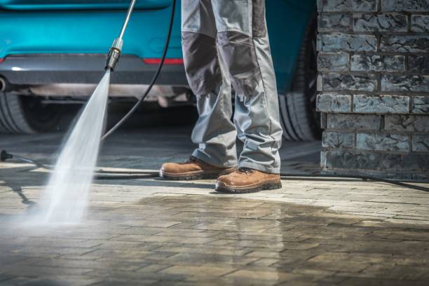Reliable Ludowici, GA Pressure Washing Services Solutions