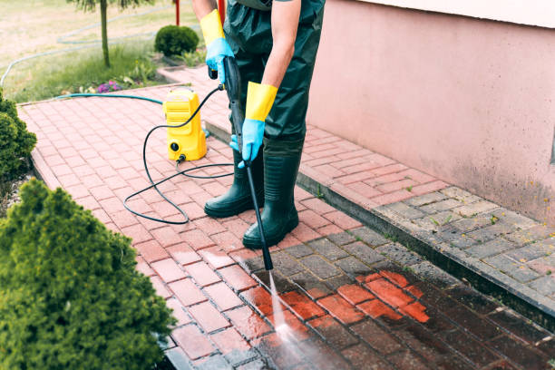Best Window and Screen Pressure Cleaning in Ludowici, GA